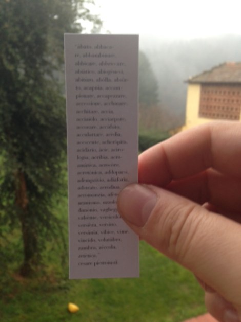 Immagine