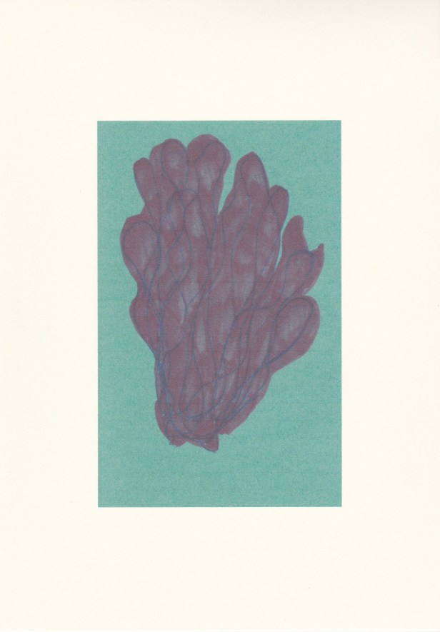scansione 9-small